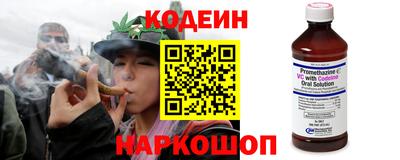 индика Обнинск