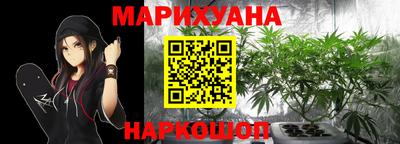 индика Обнинск